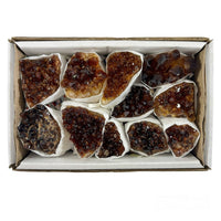 Citrine Geode Clusters #BRZ1