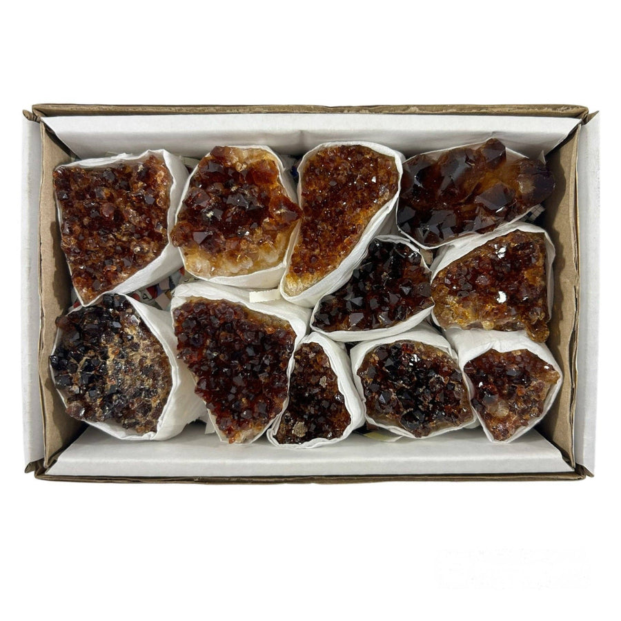 Citrine Geode Clusters #BRZ1