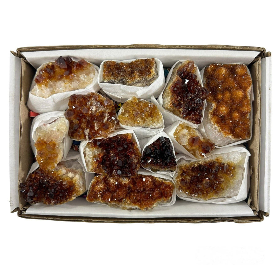 Citrine Geode Clusters #BRZ1