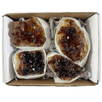 Citrine Geode Clusters #BRZ1