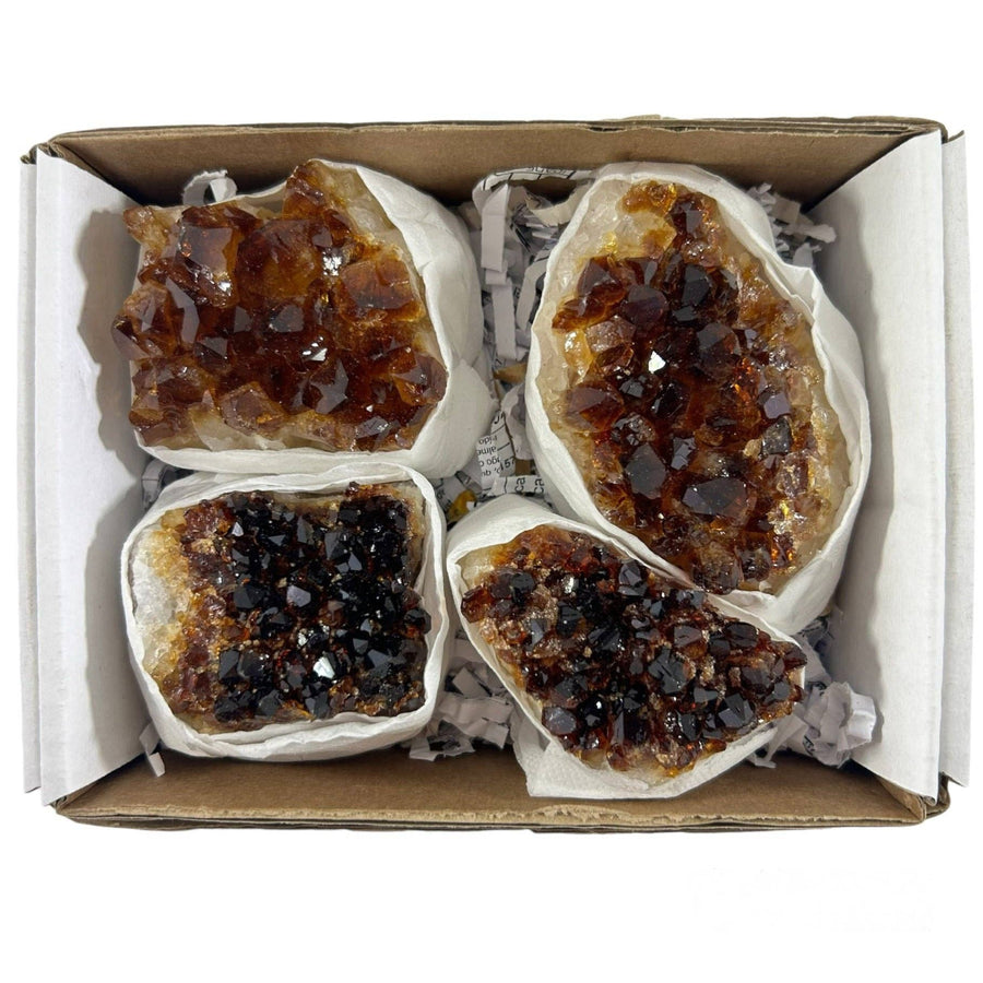 Citrine Geode Clusters #BRZ1