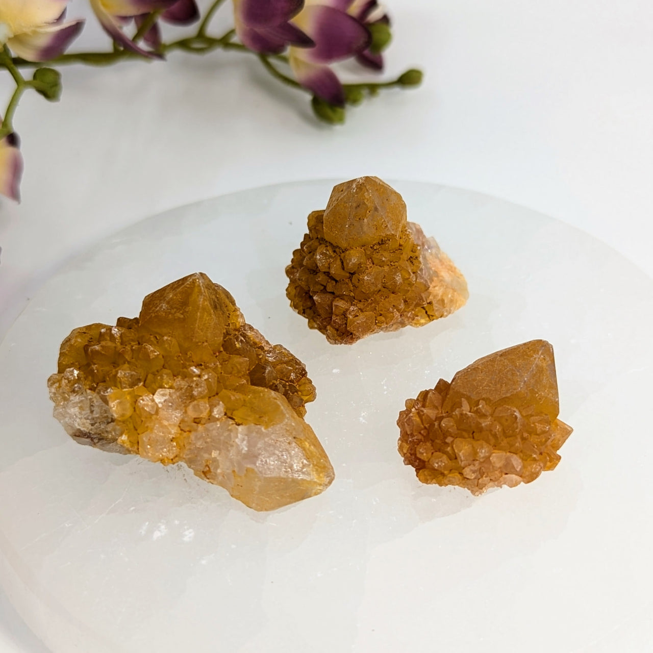 Three golden healer quartz clusters associated with Citrine Spirit Quartz 1-2 inch Natural Cluster #LV8543