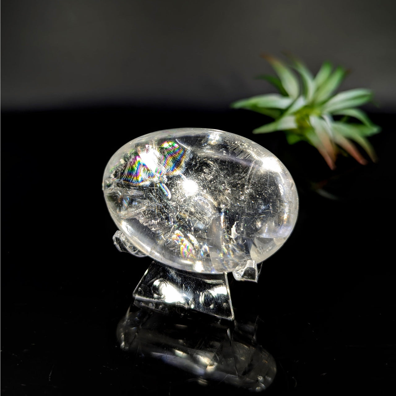 Clear Quartz Crystal on Stand for Clear Optical Calcite Palm Stone #LV8833
