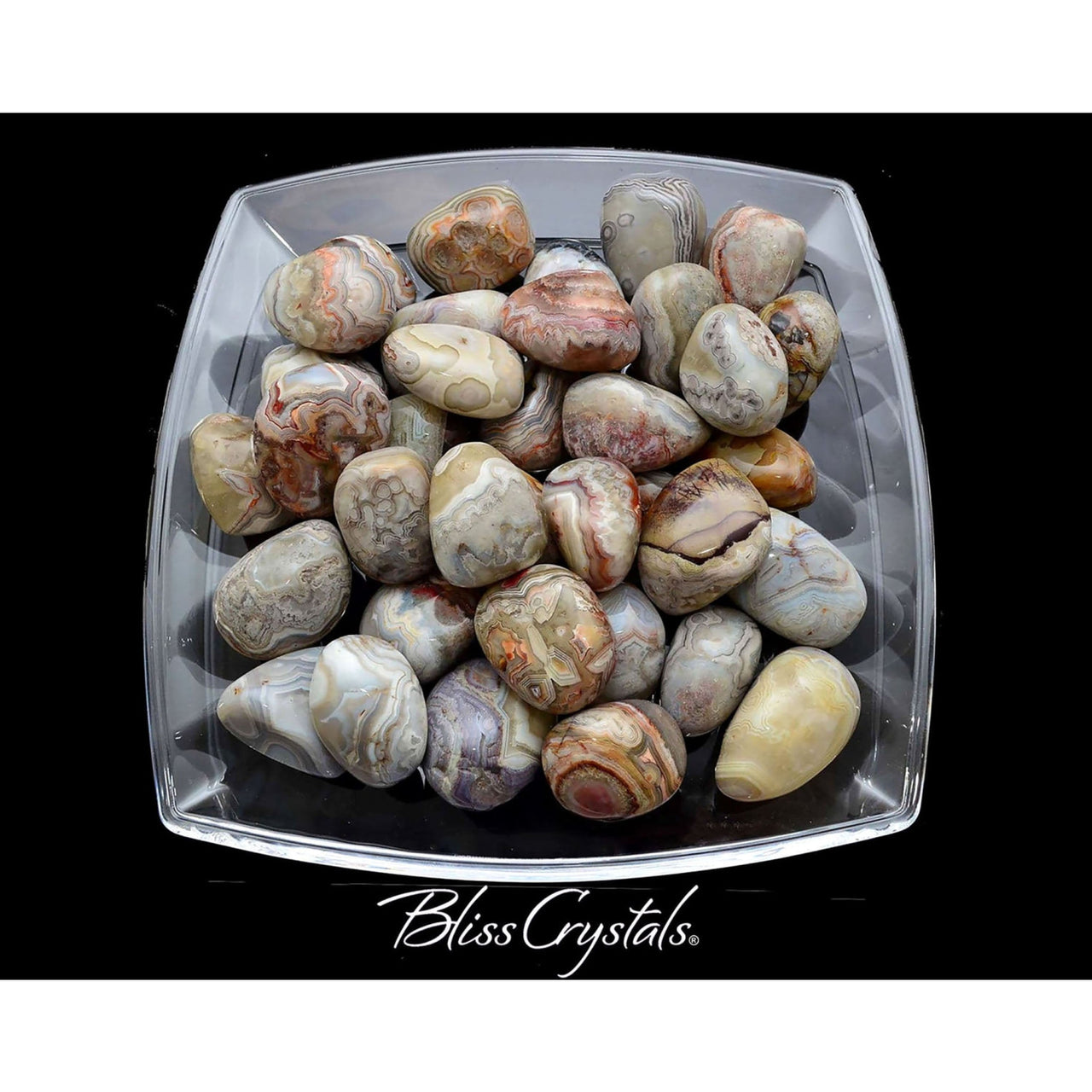 Crazy! 1 XL CRAZY LACE Agate Tumbled Stone w Earthtone 