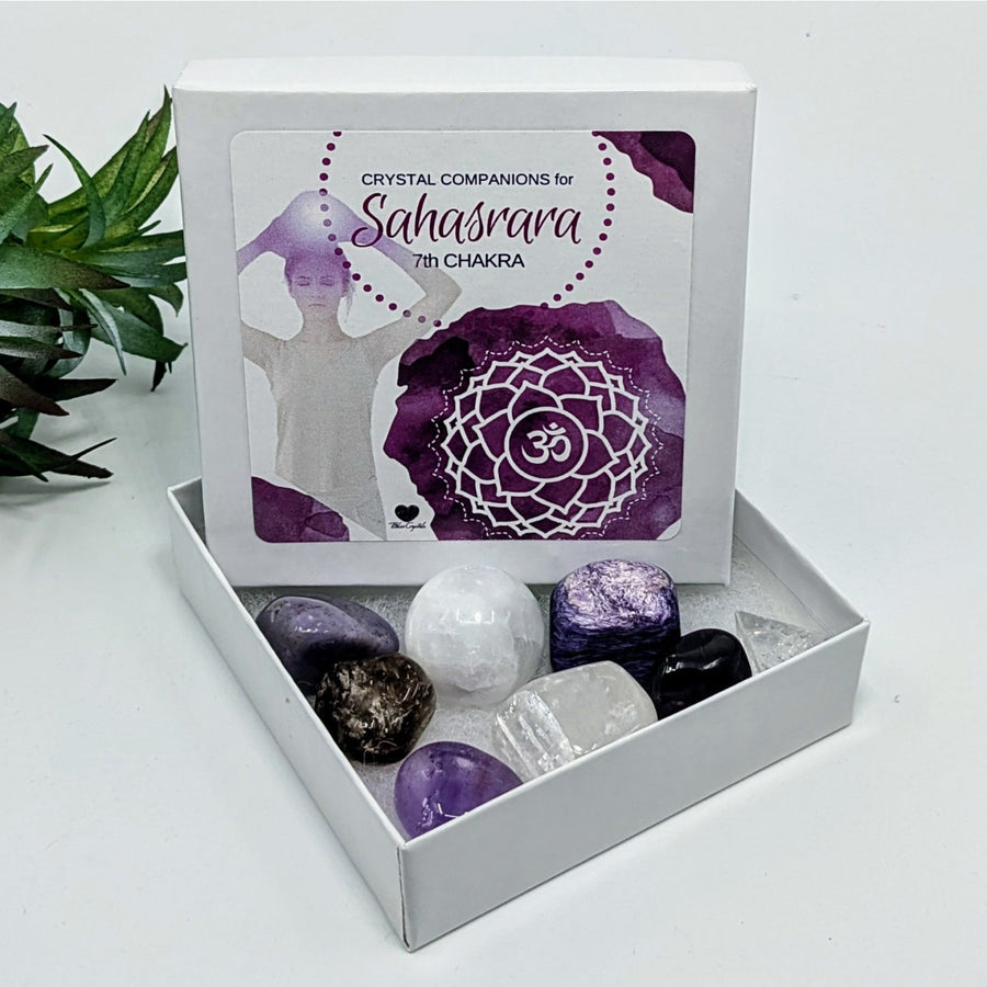 Chakra Crystal Set in a White Box for Crown Chakra Healing and Balance