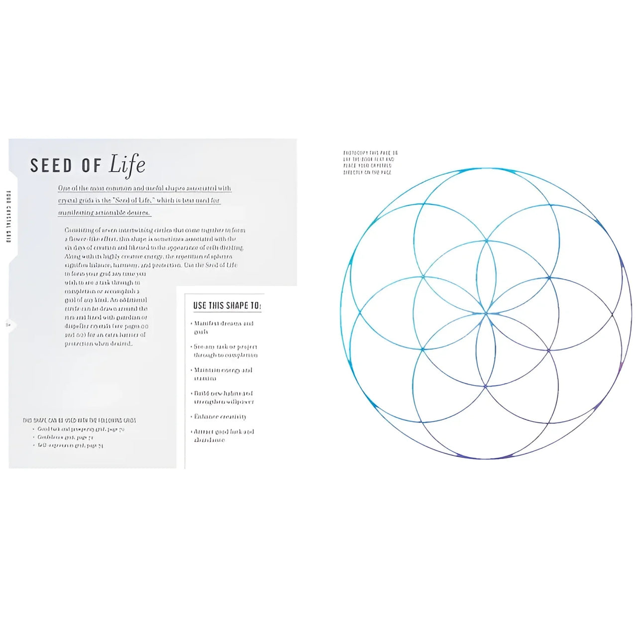 The Seed of Life logo on Kiera Fogg’s Crystal Gridwork book about sacred geometry and crystals