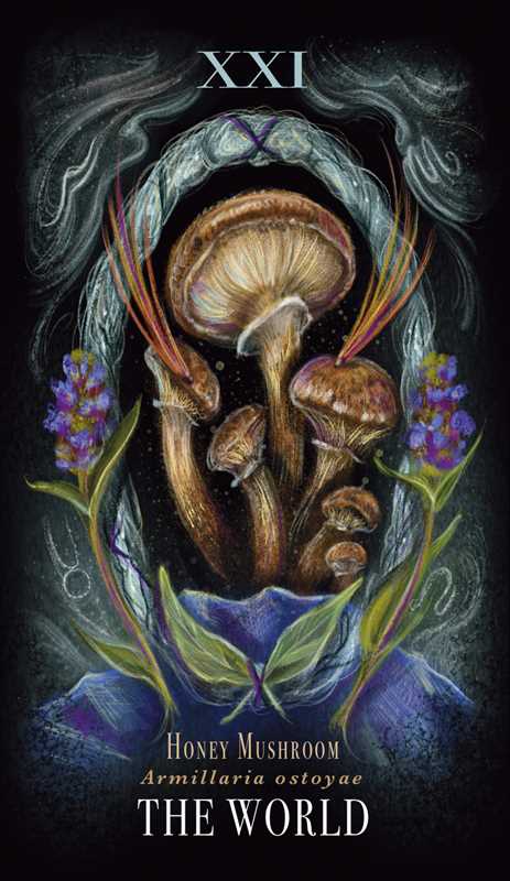 Midnight Magic by Sara Richard #BC1800