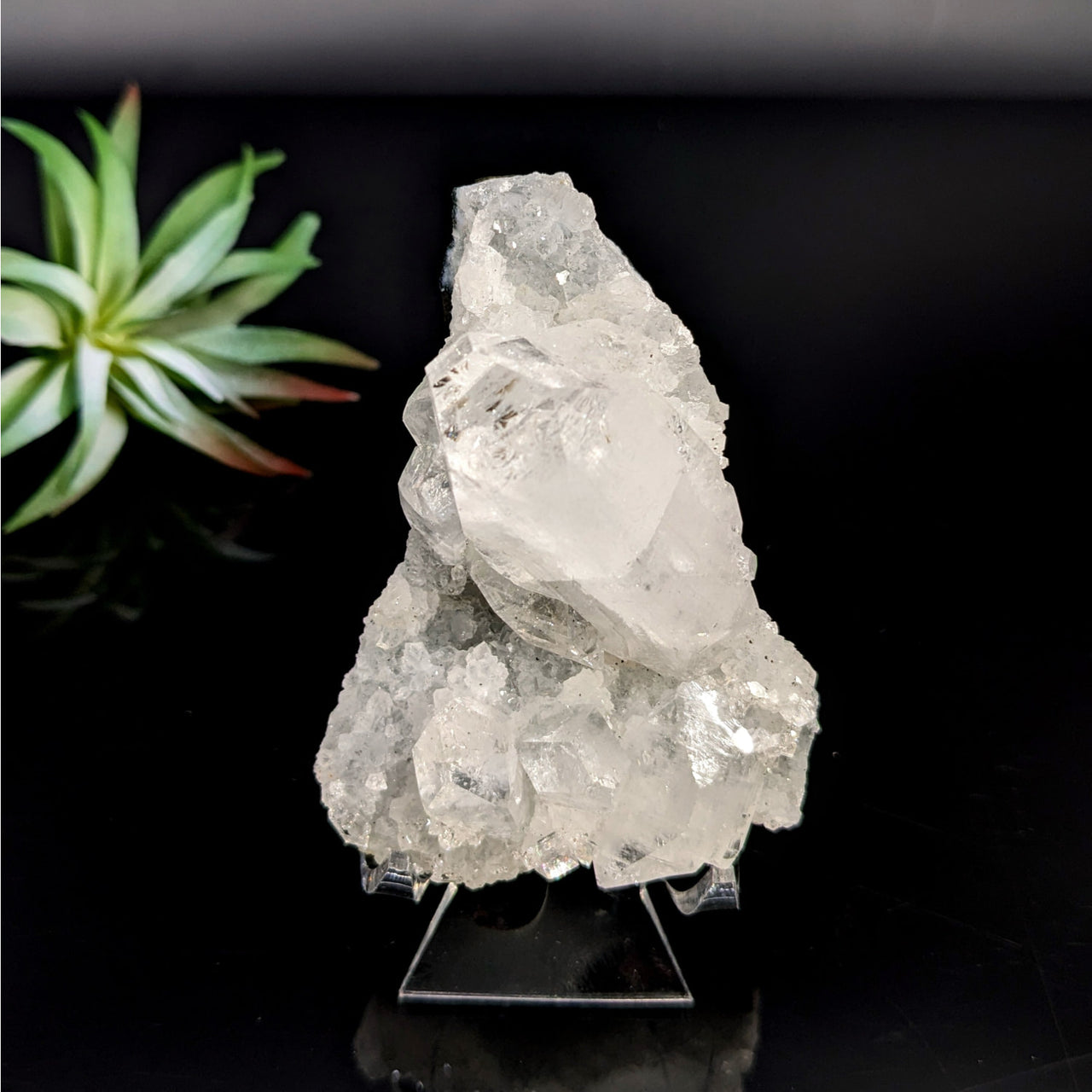Sparkling White Crystal Cluster from Diamond Apophyllite 2.5 Inch Cluster LV7434