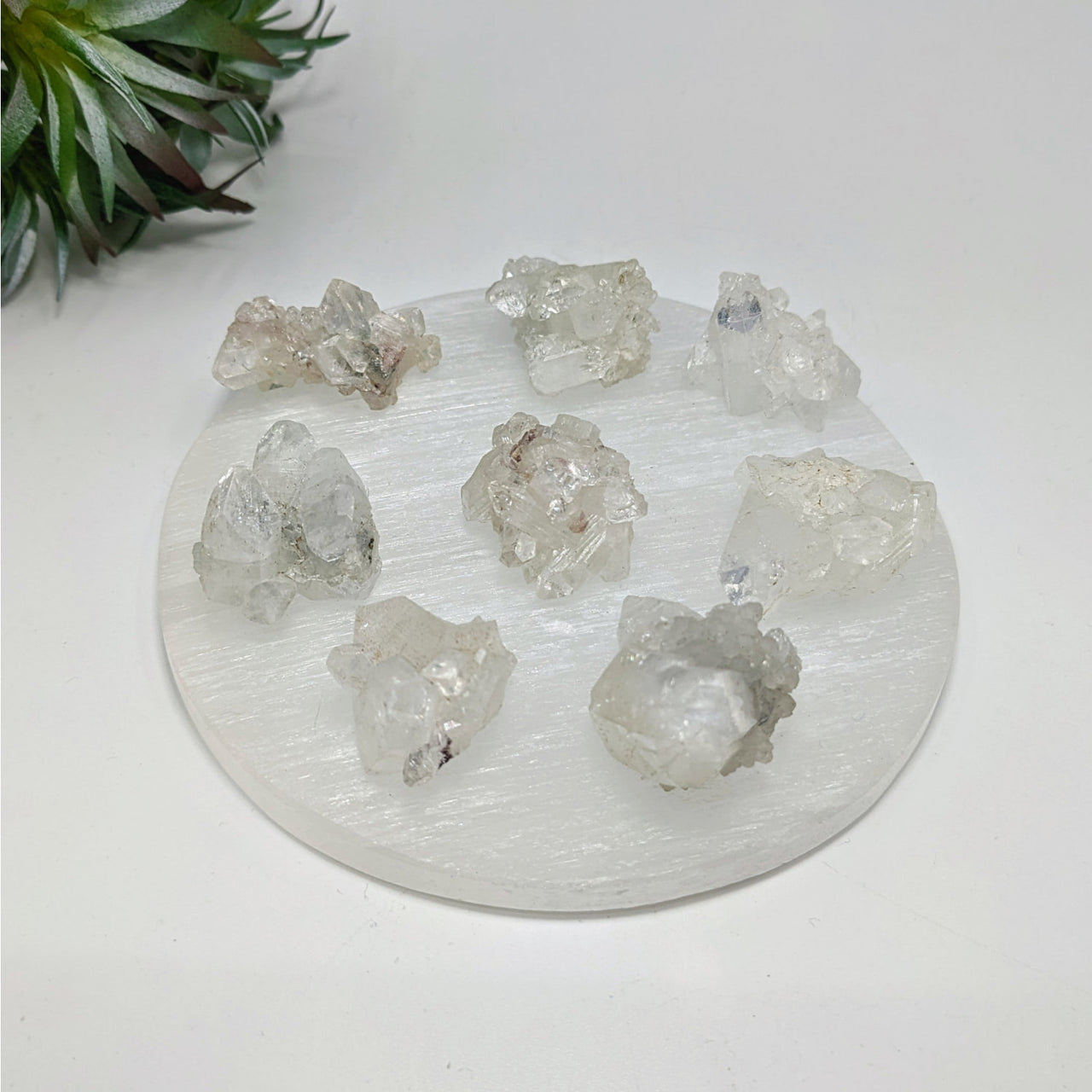 Clear crystal geodes on a selenite plate with Diamond Apophyllite Cluster R122