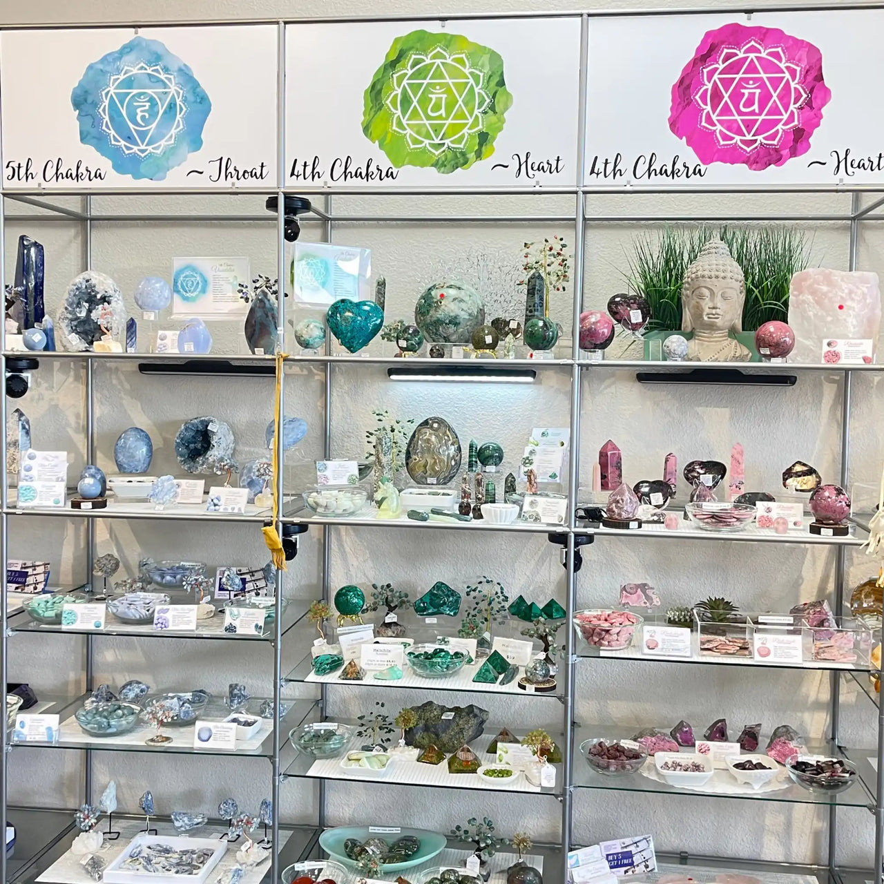 Display case filled with crystals and gemstones organized by color.