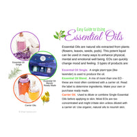 Assorted essential oils for skin displayed with Essential Oil Information Card #Q159