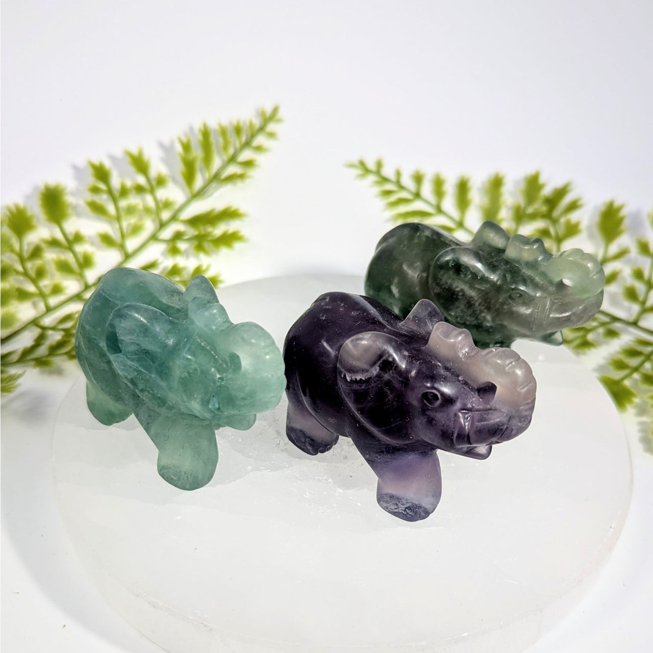 Three 2.5in fluorite rhino carvings in green purple gradient #BC0898