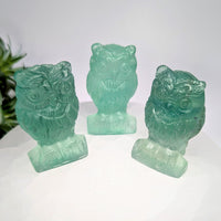 Fluorite Owl 2’’ Bird Carving #LV9236 - $42