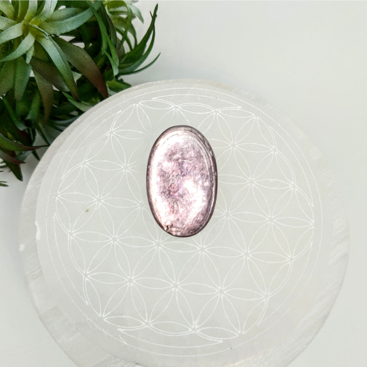 Gem Lepidolite 1.4’’ Cabachon #LV5684 - $69