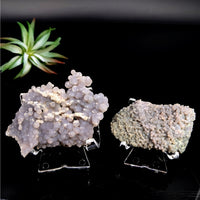 Two grape agate specimens in a natural cluster display for Grape Agate 2.5 inch #LV7443