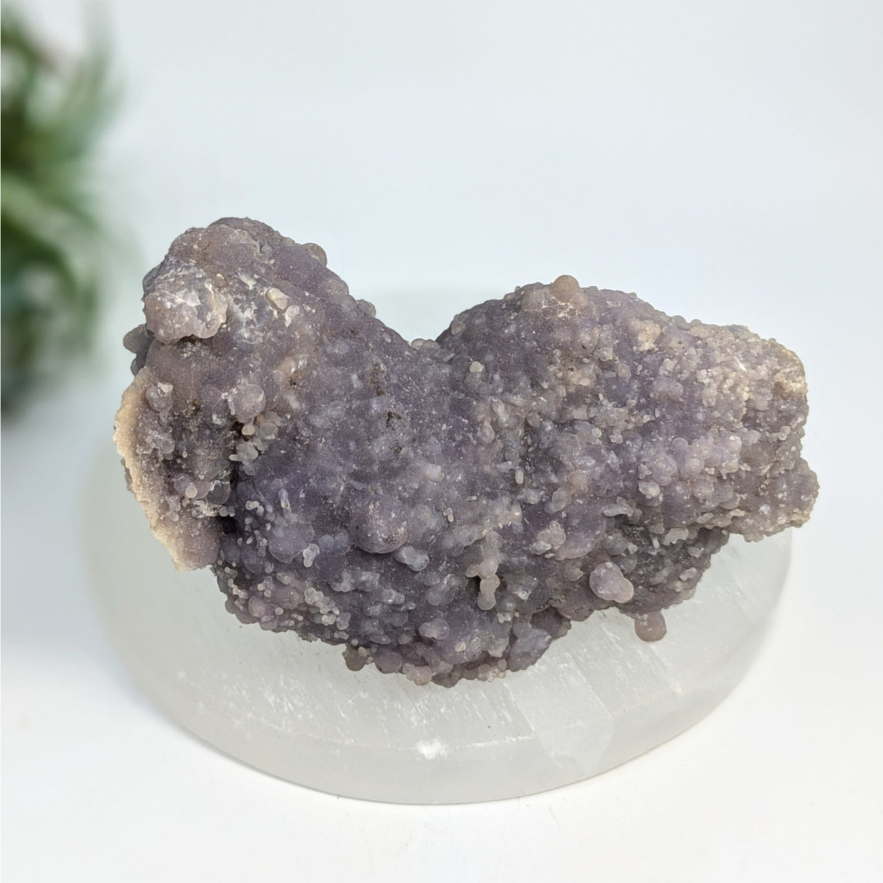 Purple botryoidal chalcedony from Grape Agate 4’’ Natural Cluster #LV7425 showcasing rare purple chalcedony agate