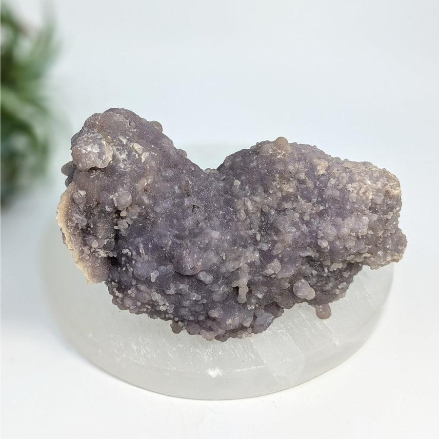 Purple botryoidal chalcedony from Grape Agate 4’’ Natural Cluster #LV7425 showcasing rare purple chalcedony agate