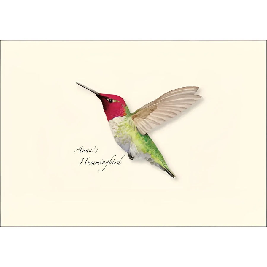 Greeting Card #K002 - Anna’s Hummingbird Notecards (8pc