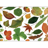 Greeting Card #K002 - Leaves - $6.95