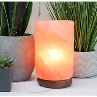 Himalayan Salt Lamp 8’ next to a potted plant - Natural Decor for Serenity #LV3580