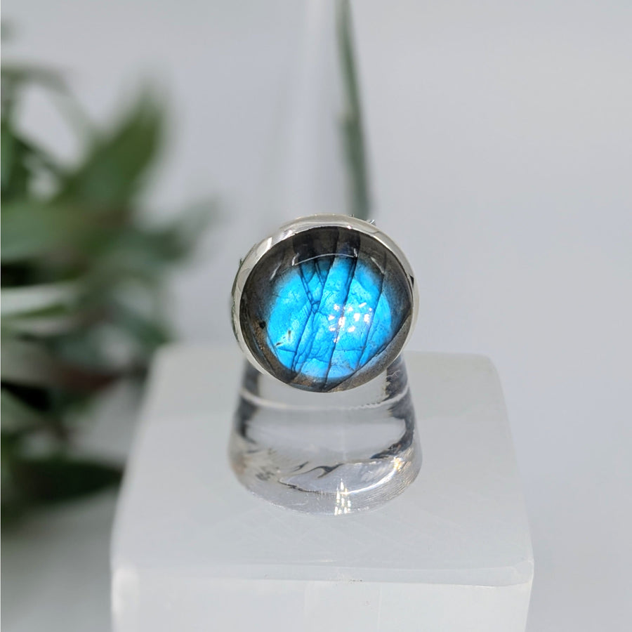 Labradorite Sz 6.5 - Sz 10 S.S. Round Ring #LV6715 - $95
