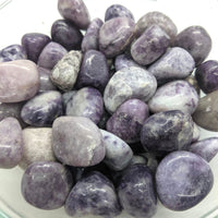 Lepidolite Tumbled #T150 $5.95