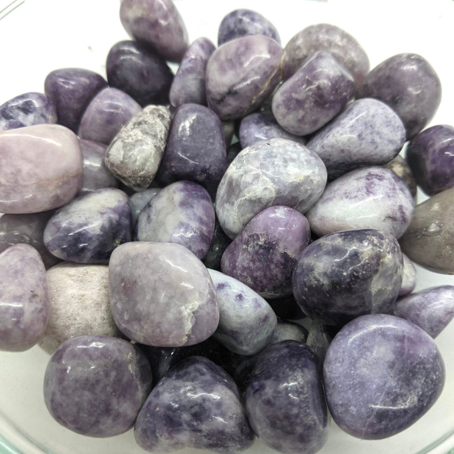 Lepidolite Tumbled #T150 $5.95