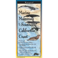 Book cover for ’Marine Mammals and California Coast’ displayed in the Marine Mammals of SoCal Field Guide #LV3707