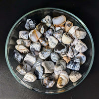 Bowl of shells with Merlinite aka Dendritic Agate Tumbled Stone #LV1635 for display