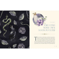 Open book about moon potions in Moon Apothecary by Lorriane Anderson LV7323