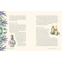 Two-page spread of Moon Apothecary by Lorraine Anderson LV7323 book displayed