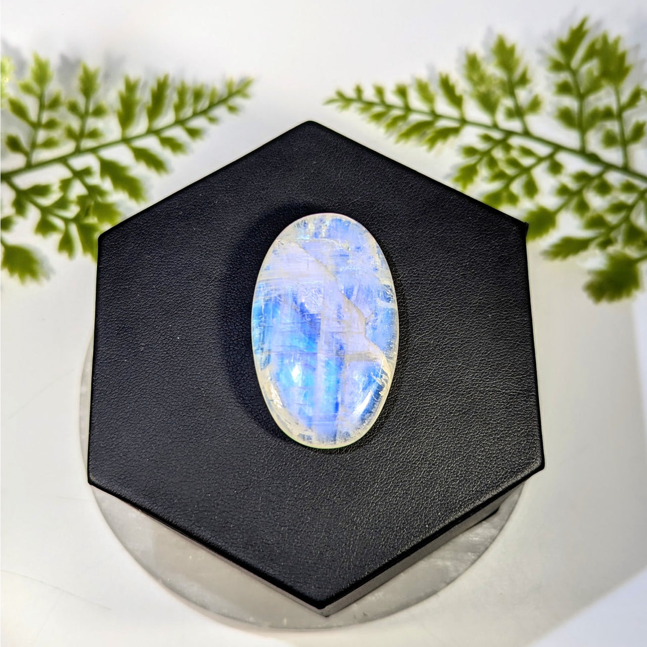 Moonstone  1.8" Blue Flash Cabochon #BC1542