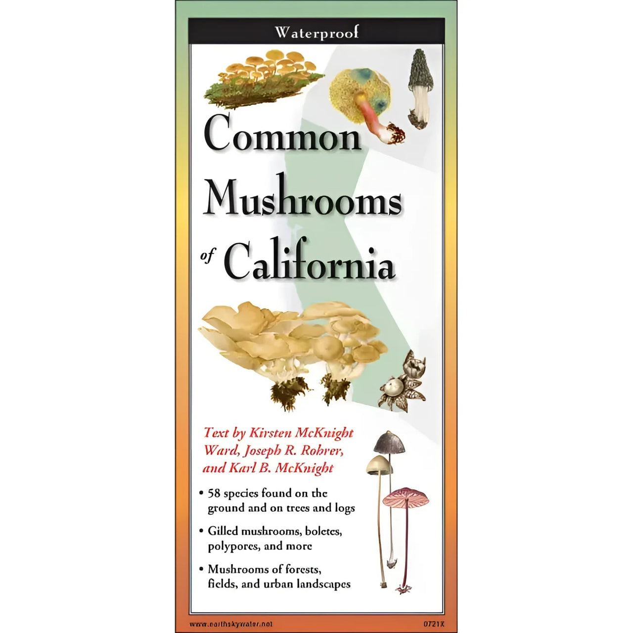 Book cover for Common Mushrooms of California in Mushrooms of California Field Guide #LV3700