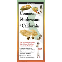 Book cover for Common Mushrooms of California in Mushrooms of California Field Guide #LV3700