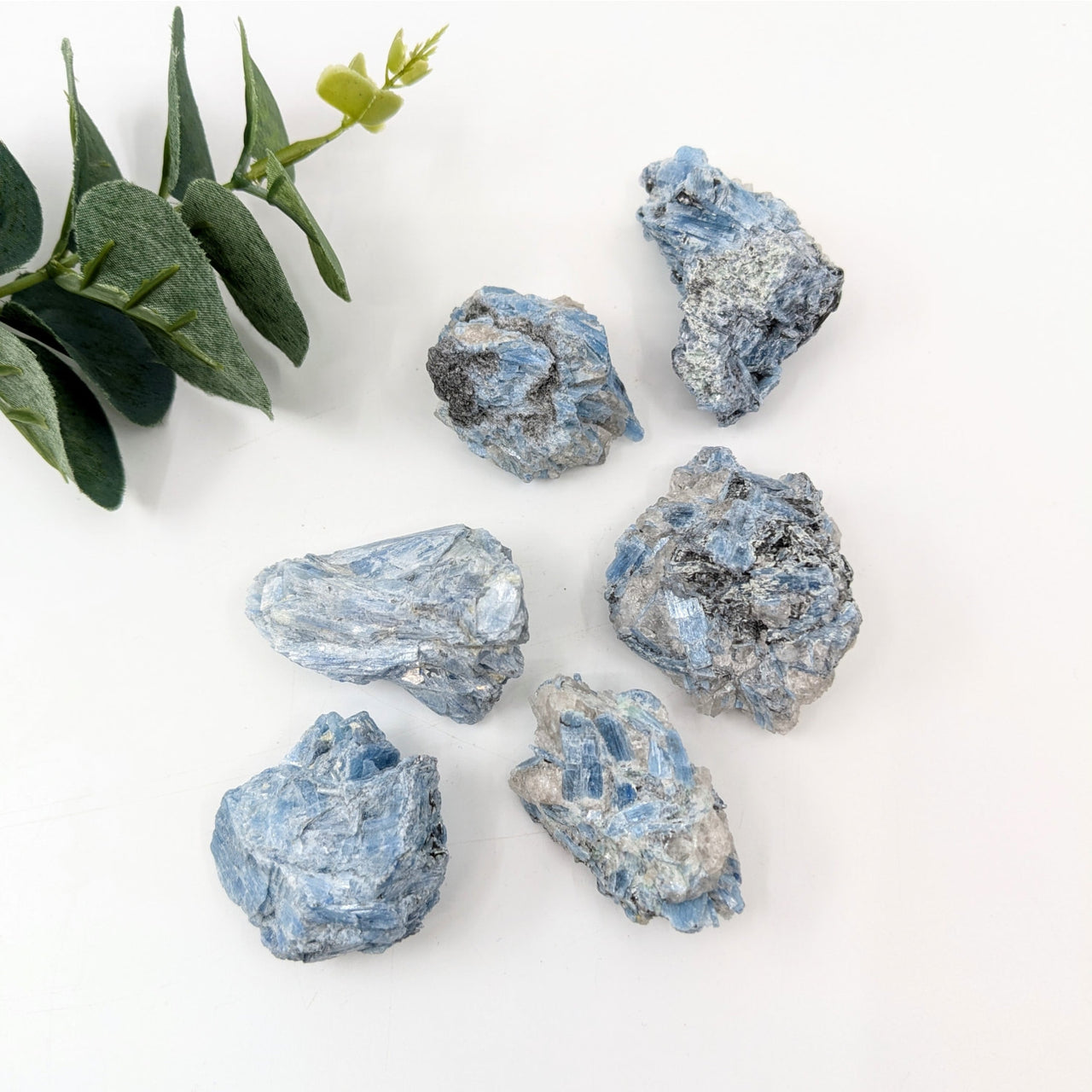 Paraiba Kyanite 1.2-2.3’’ Rough Specimen #LV6064 - $6.95