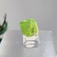 Peridot.6’’ Mini Specimen on Base #LV9258 - $98