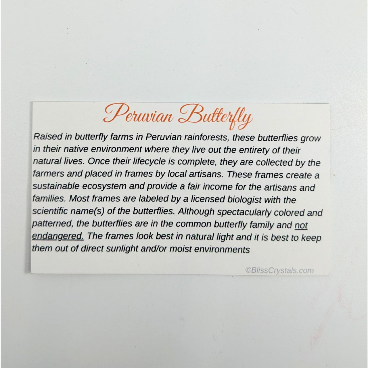 Peruvian Butterfly Information Card showcasing colorful butterfly species from Peru