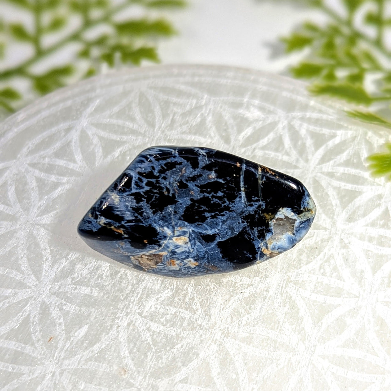 Polished pietersite specimen 1.8in BC1150 blue black sodalite veining
