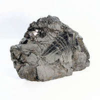 Rock with black and white crystals - Raquirite Colombian (610g) #SK4035