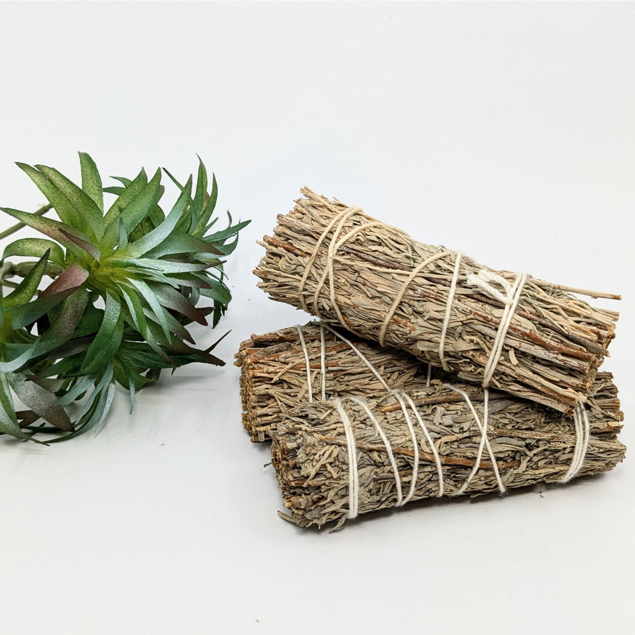 Bundled Sage Sticks for Cleansing in Sage & Herb Smudge Stick Bundle #K120