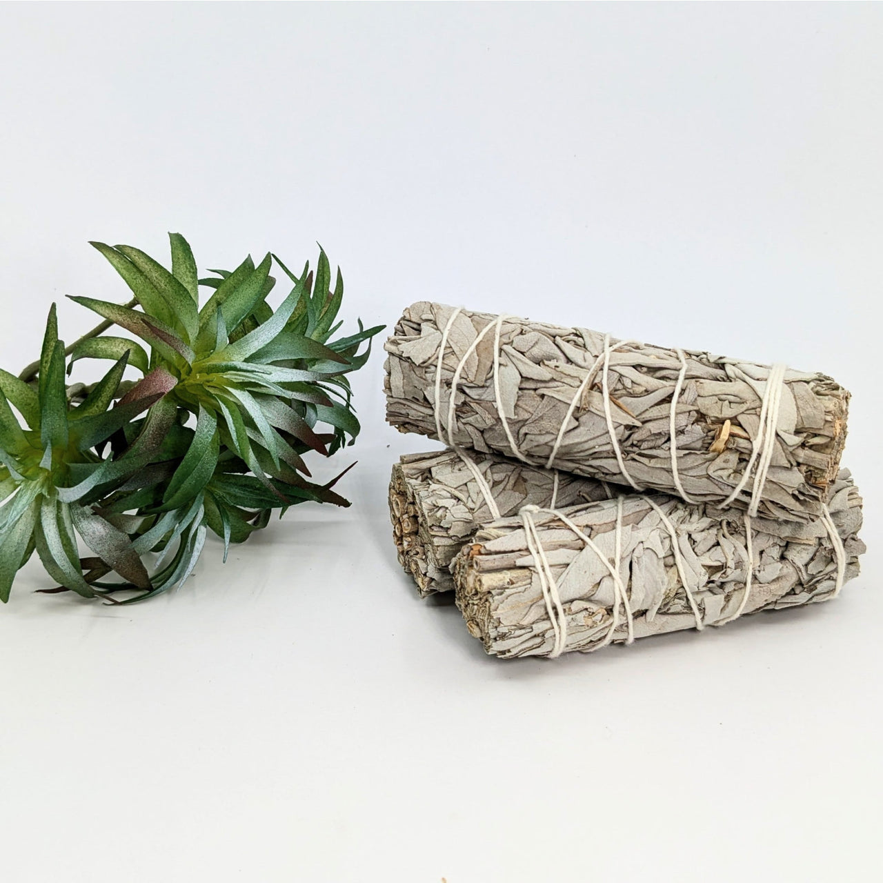 Bundled white sage sticks for cleansing rituals in Sage & Herb Cleansing Smudge Stick Bundles #K120