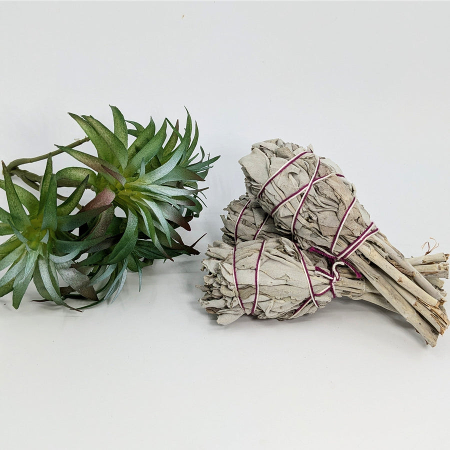 Three bundles of white sage in Sage & Herb Cleansing Smudge Stick Bundles #K120