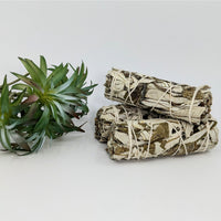 Bundled Sage Sticks for Cleansing Rituals in Sage & Herb Cleansing Smudge Stick Bundles #K120