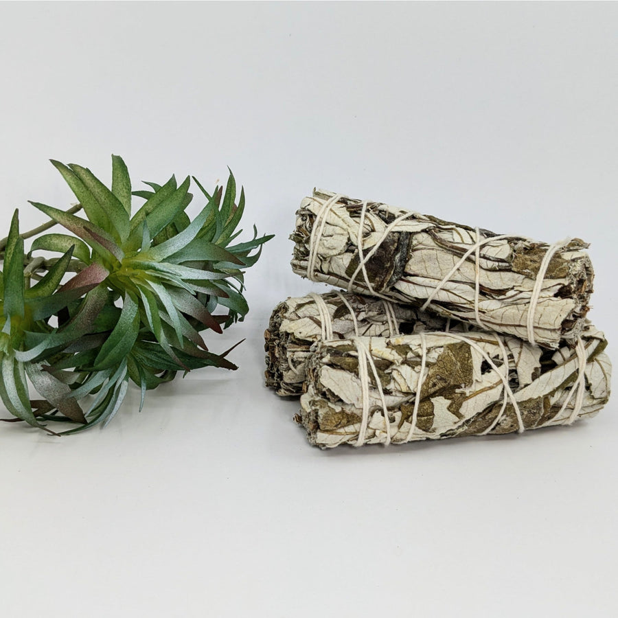 Bundled Sage Sticks for Cleansing Rituals in Sage & Herb Cleansing Smudge Stick Bundles #K120
