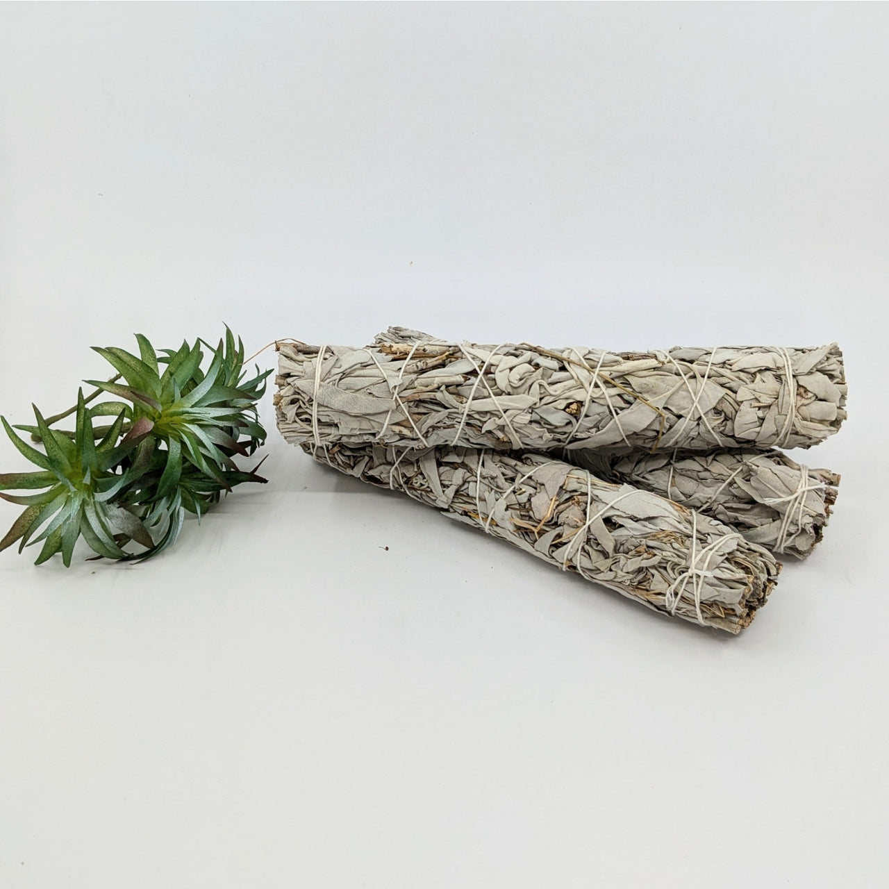 Bundled white sage sticks for cleansing and spiritual purification in Sage & Herb Smudge Stick Bundles