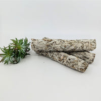 Bundled white sage sticks for cleansing and spiritual purification in Sage & Herb Smudge Stick Bundles
