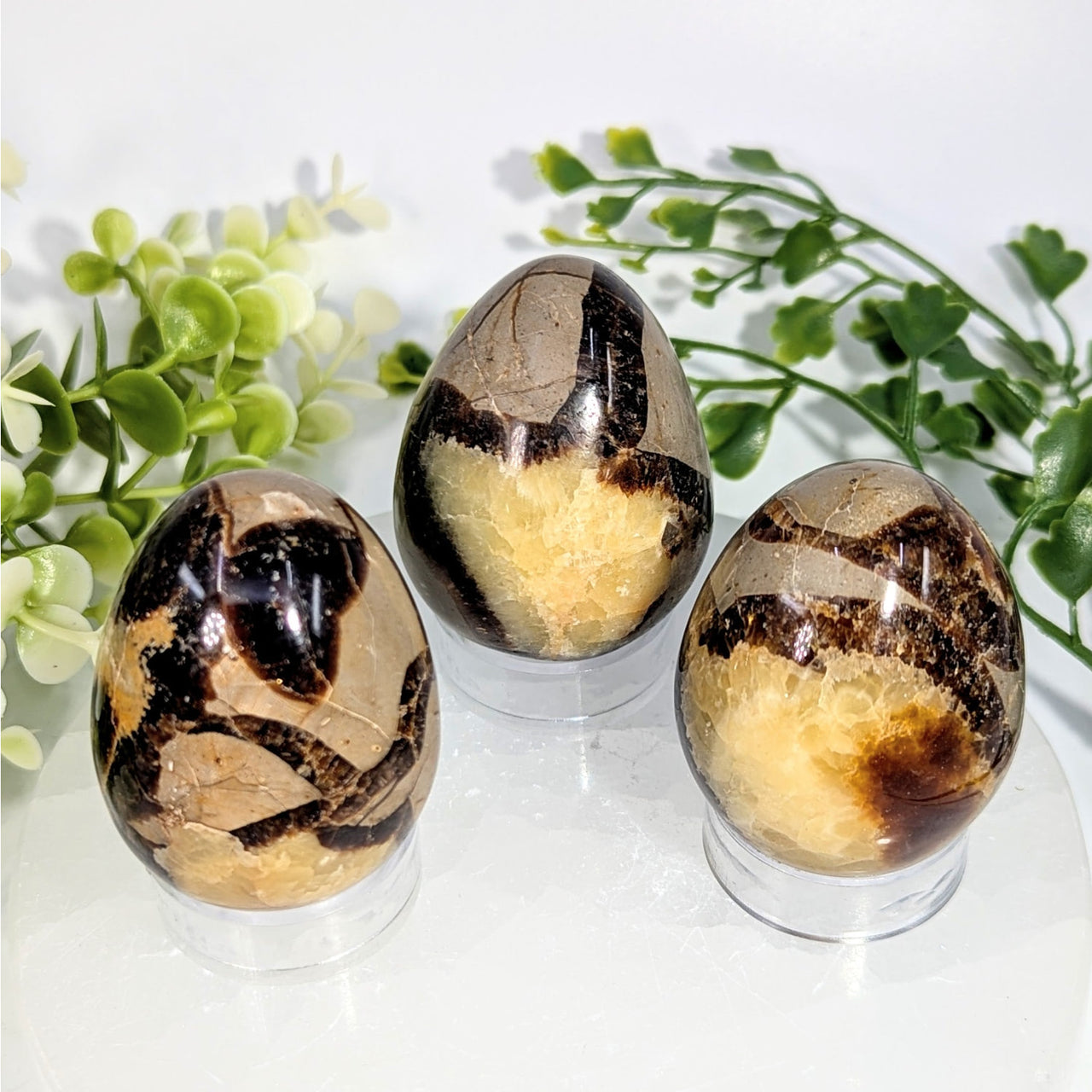 Three polished septarian eggs 1.9 to 2 inches in brown and golden-brown layered stone on clear acrylic stands