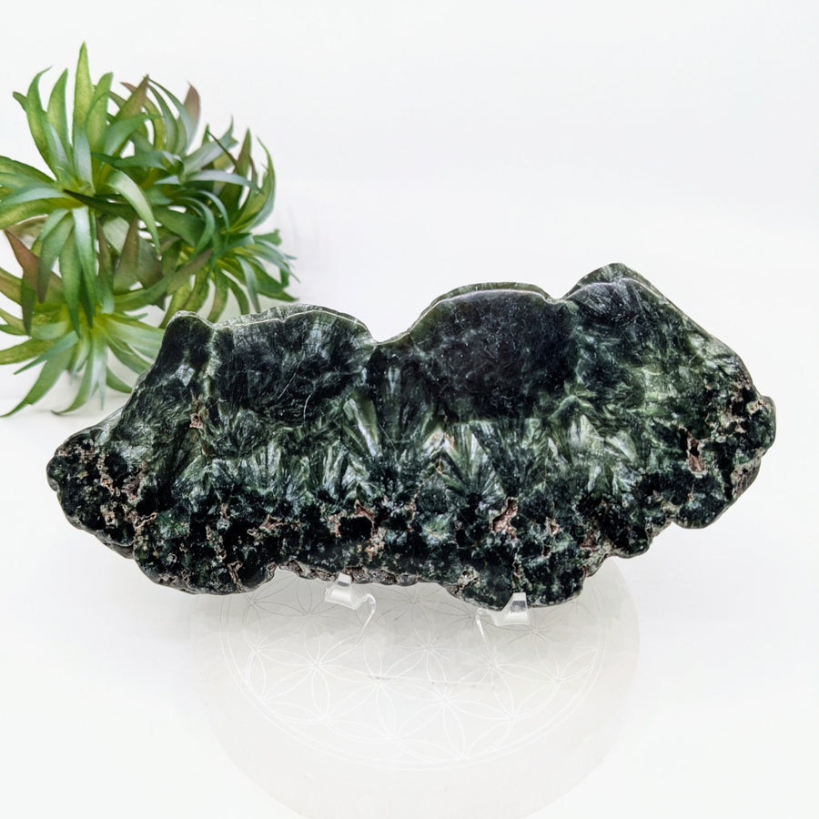 Dark green and white patterned Seraphinite stone slab for jewelry and decor displays