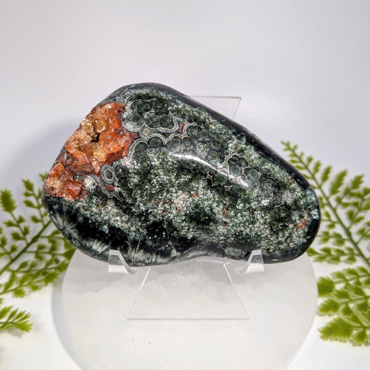 Polished seraphinite AA 4.5in with fluorescent calcite bubble jasper #BC0903