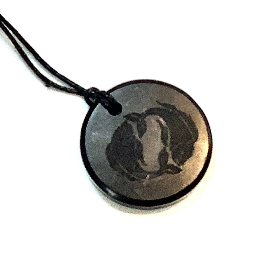 Shungite Zodiac Necklace #J584 - Pisces - $25